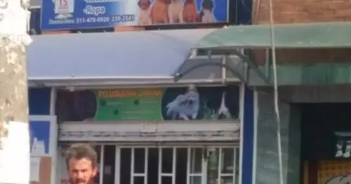 CONCENTRADOS SNOOPY CONCENTRADOS SNOOPY